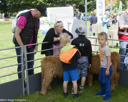 wim meijer fotografie img 8062