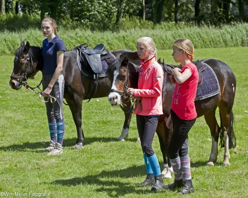 wim meijer fotografie img 8074