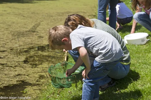 wim meijer fotografie img 8093