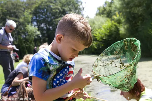 wim meijer fotografie img 8094