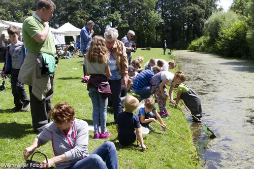 wim meijer fotografie img 8097