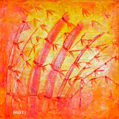 wim meijer fotografie img 9908