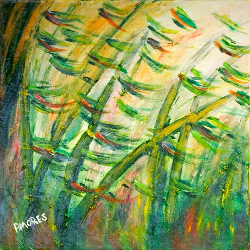 wim meijer fotografie img 9917