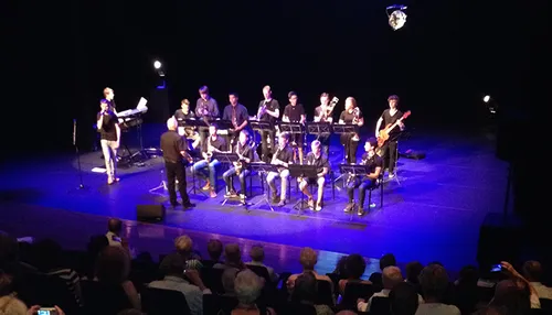 young pop colletive banner