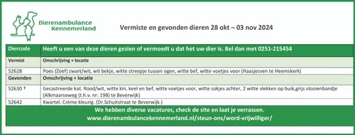 vermiste en gevonden dieren 28 okt 03 nov 2024 1