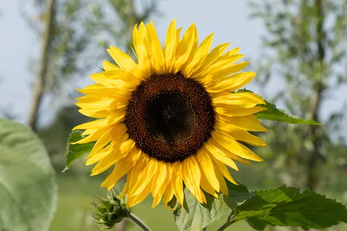 uitgifte rorik 17 augustus 2024 124