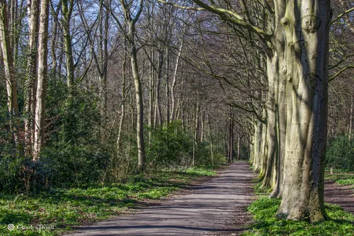 bospad fraai beeckesteijn