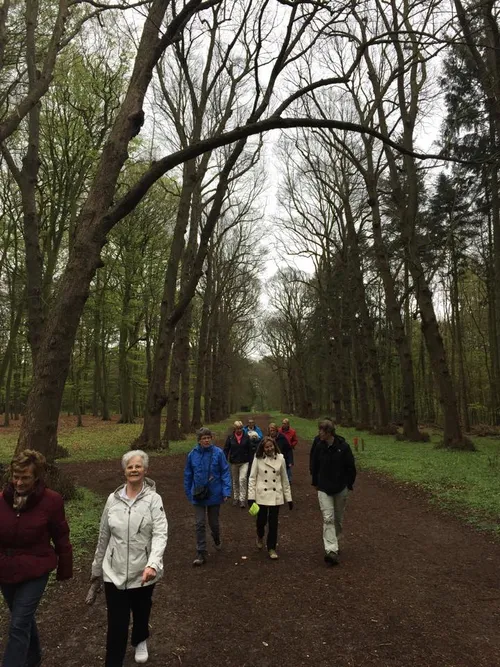 10373784 1630689507166688 1086119051769405180 n