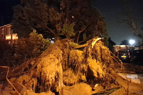 274251492 7284682221549889 437981215203564628 n