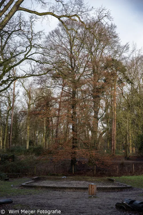 3z1a7594 groenendaal bij oude zandbak