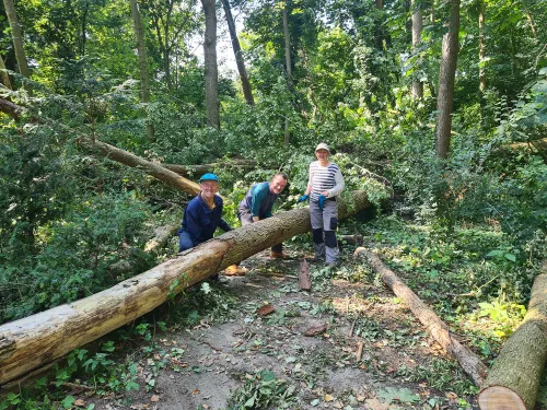 blog9 juli sorghbosch