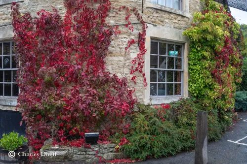 castle combe begroeid