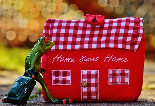 fabric home trolley frog arrive funny at home 1247153
