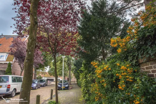 herfst nic beetslaan