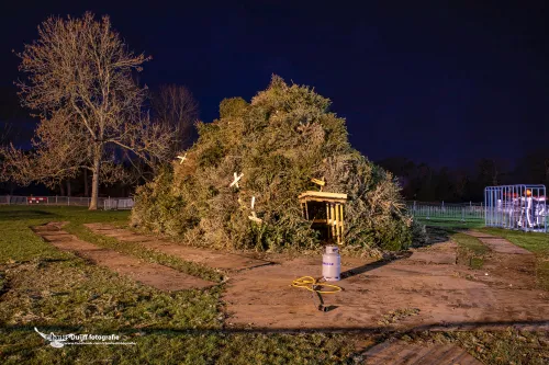 kerstbomen vooraf