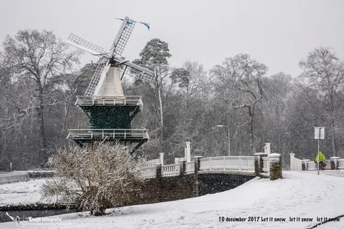 molen let it snow1