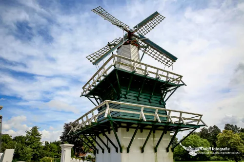 molen m