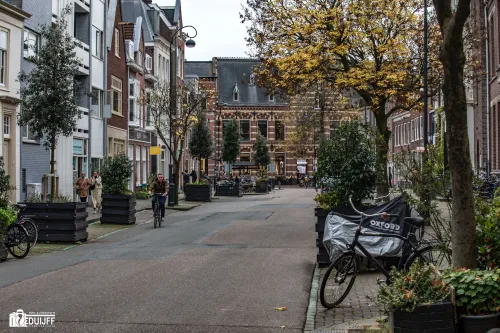 nieuwe groenmarkt