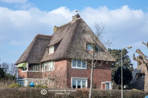 ooievaar op schoorsteen