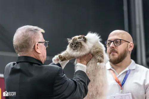 pardon wat gaan we doen