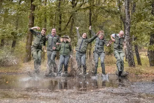 plassen stampen staatsbosbeheer