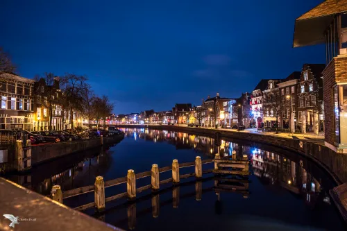 spaarne zuid