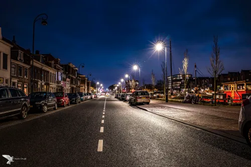 spaarne