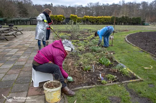 tuinieren3
