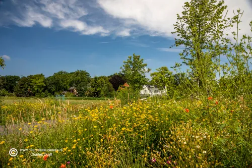 vrijheidsdreef prachtig