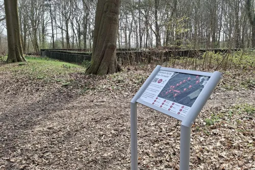 70a5-019d1b0f3c647562aa55b5f1e14f216a