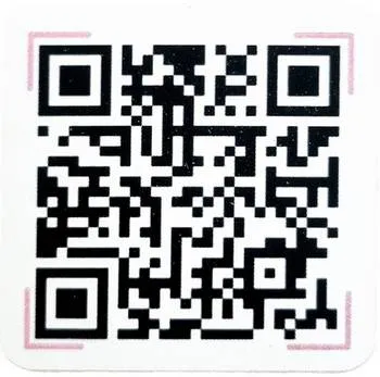 qr ramona2