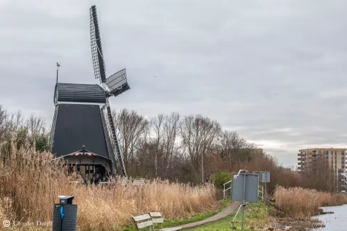 Eenhoorn CH2