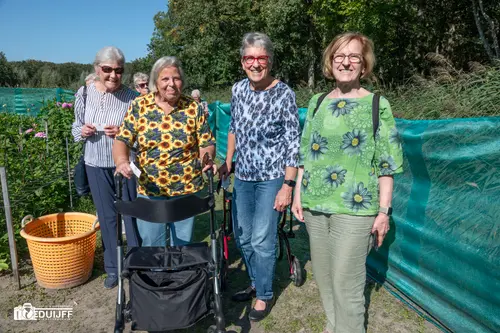 dames zonnebloem