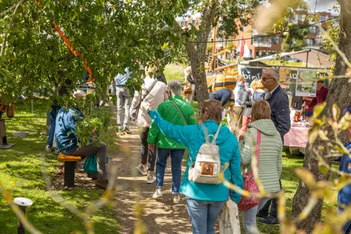 Broekerveiling Streekmarkt 202520250914_5830