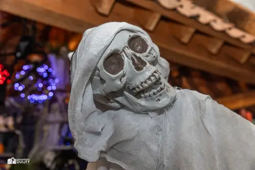 ART Skeleton