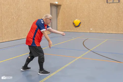 ART Volley