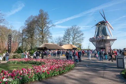 ART molen II