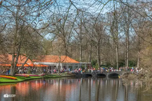 ART Oranje weerspiegeling
