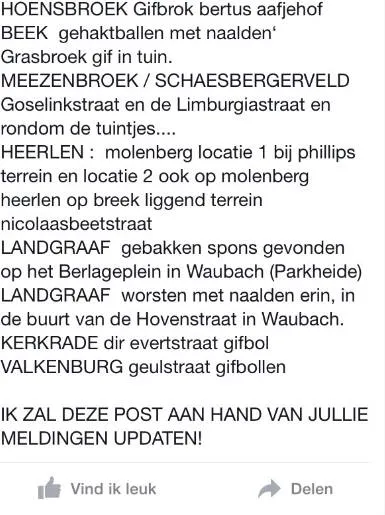 11072967 911034505583493 1498989588 n