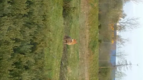 2015 04 17 200733 kopie 11 e1429299888152