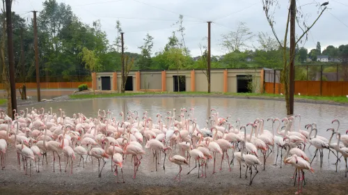 260 986bb62dee98525329edc1cf22af966a