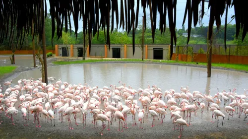 260 e1fe1a0a8b0a8d17fd984c4510a55a85