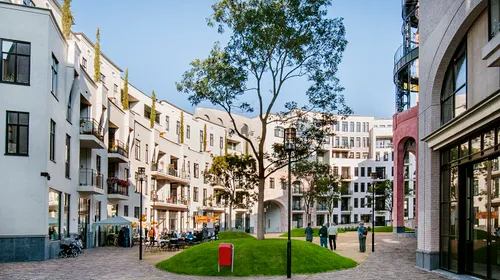 bomen mk noord 2017 11 1