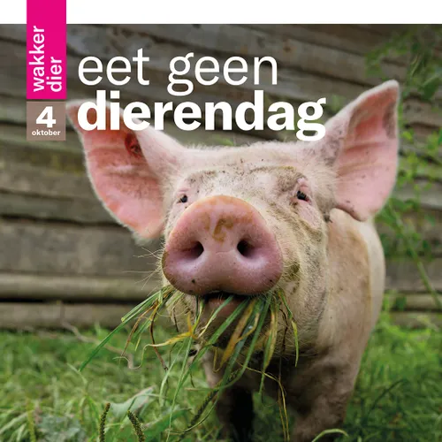 eet geen dierendag persbericht 1080x1080