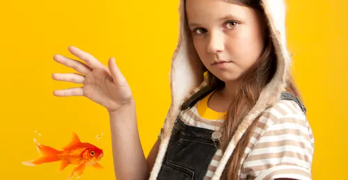 fbb53cc8 f0ba 4237 ba45 61446c9cd4ec