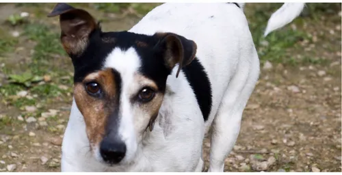 jaimy1 e1432220914371