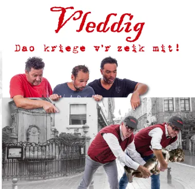 vleddig