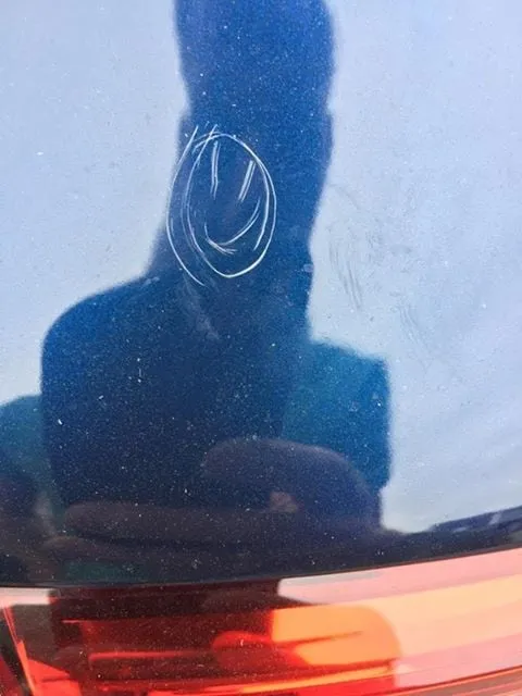 116157308 2656443467930231 3948881068045847000 n