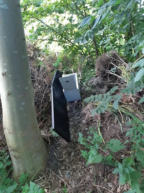 117311400 2664816327092945 4260706860119136556 n