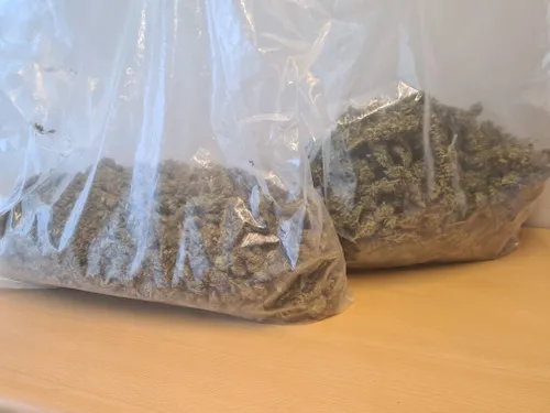 126176170 2759038734337370 8750331430709564797 o